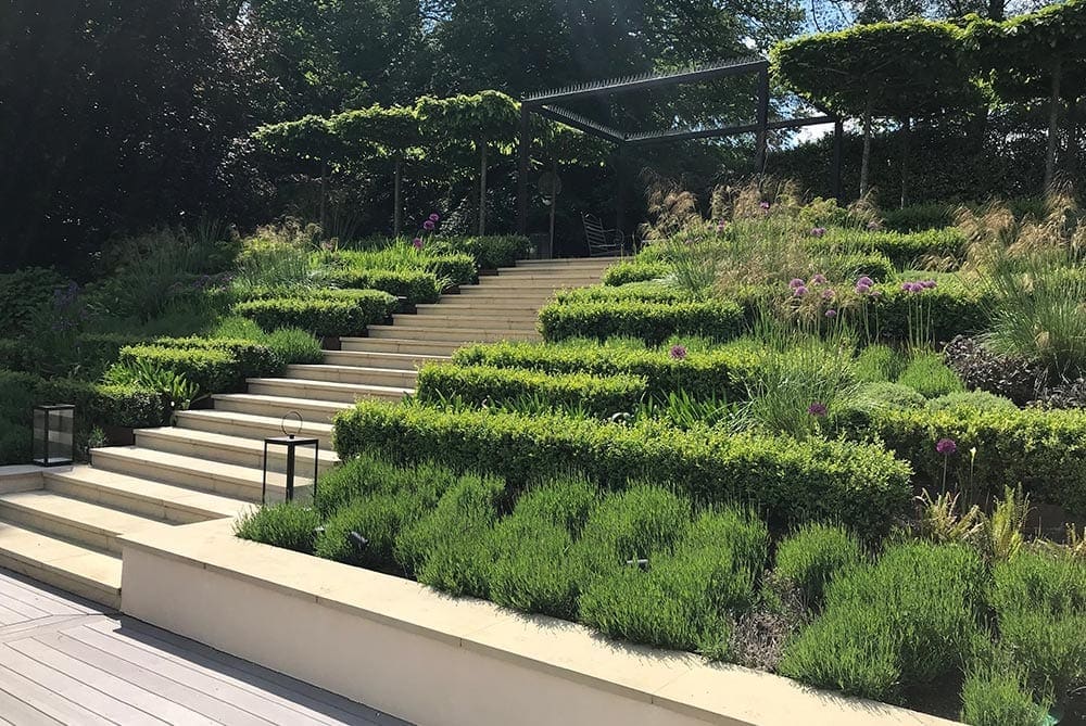 Bushy Business Gardening – Aftercare & Maintenance Bushy Business Gardening - Aftercare & Maintenance