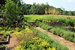 Bushy Business - Surrey Hills Garden; Peaslake, Surrey