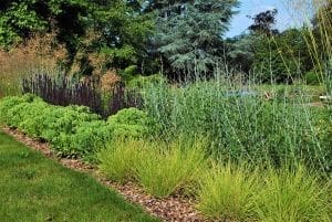 Bushy Business - Surrey Hills Garden; Peaslake, Surrey
