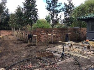 Bushy Business - Surrey Planting Project; Esher, Surrey