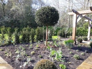 Bushy Business - The Cutting Garden; Farnham, Surrey