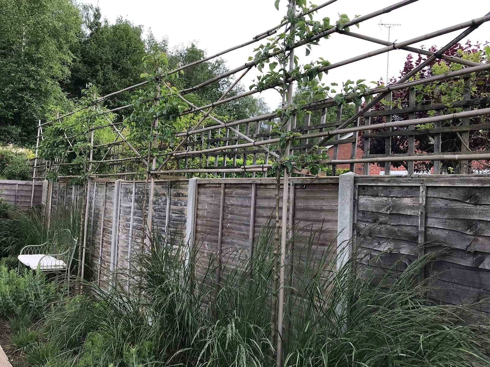 Bushy Business Gardening – Creative Aftercare Bushy Business Gardening - Creative Aftercare