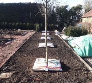 The Kitchen Garden
