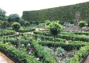 The Kitchen Garden