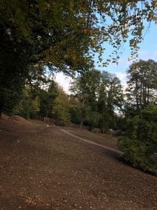 Waterside Tranquillity; Albury, Surrey
