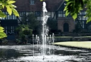 Bushy Business - Fun In The Garden – Issue 58